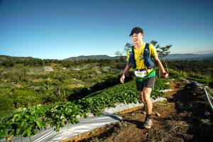 BIB: 5656
                            <button type="button" onclick="openModal(19117668)" class="btn btn-primary btn-sm float-right btn-popup" data-toggle="modal" data-target=".modal-high-quality">
                        <i class="fas fa-shopping-cart"></i> Add to Cart
                    </button>
                                            <button type="button" onclick="isThisMe(19117668, true)" class="btn btn-success btn-sm float-right btn-popup btn-isme hidden" data-toggle="tooltip" data-placement="bottom" title="นี่คือรูปของคุณใช่ไหม คลิกที่นี่เพื่อเอาเข้าอัลบั้ม">
                        <i class="fas fa-plus"></i> Add to album
                    </button>
                    <button type="button" onclick="isThisMe(19117668, false)" class="btn btn-warning btn-sm float-right btn-popup btn-isnotme hidden">
                        <i class="fas fa-ban"></i> Remove from album
                    </button>